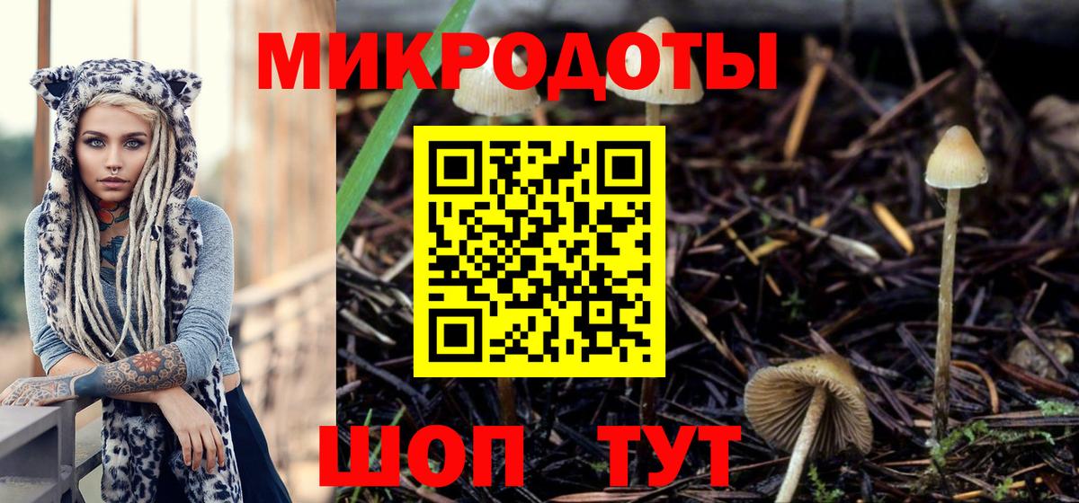 Галлюциногенные грибы GOLDEN TEACHER  Вход с VPN  Гусев 